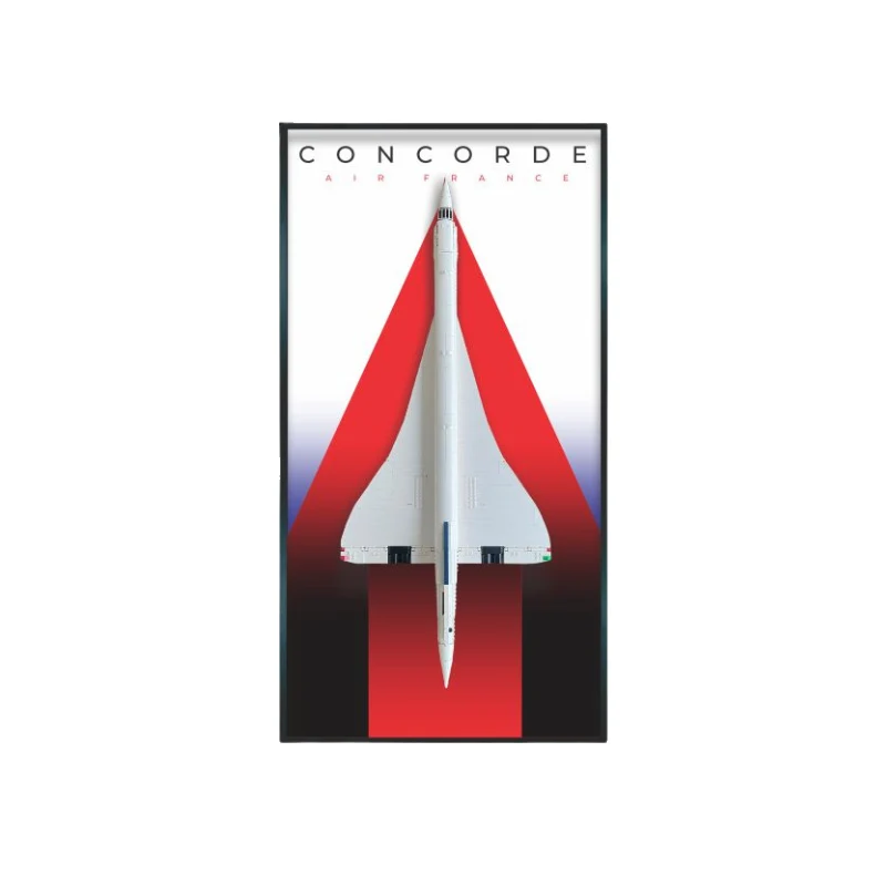 Quadro Concorde 03 | 125x60cm