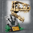 Crânio de T.Rex Jurassic World | 577PCS