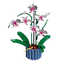 Orquídeas | 711PCS