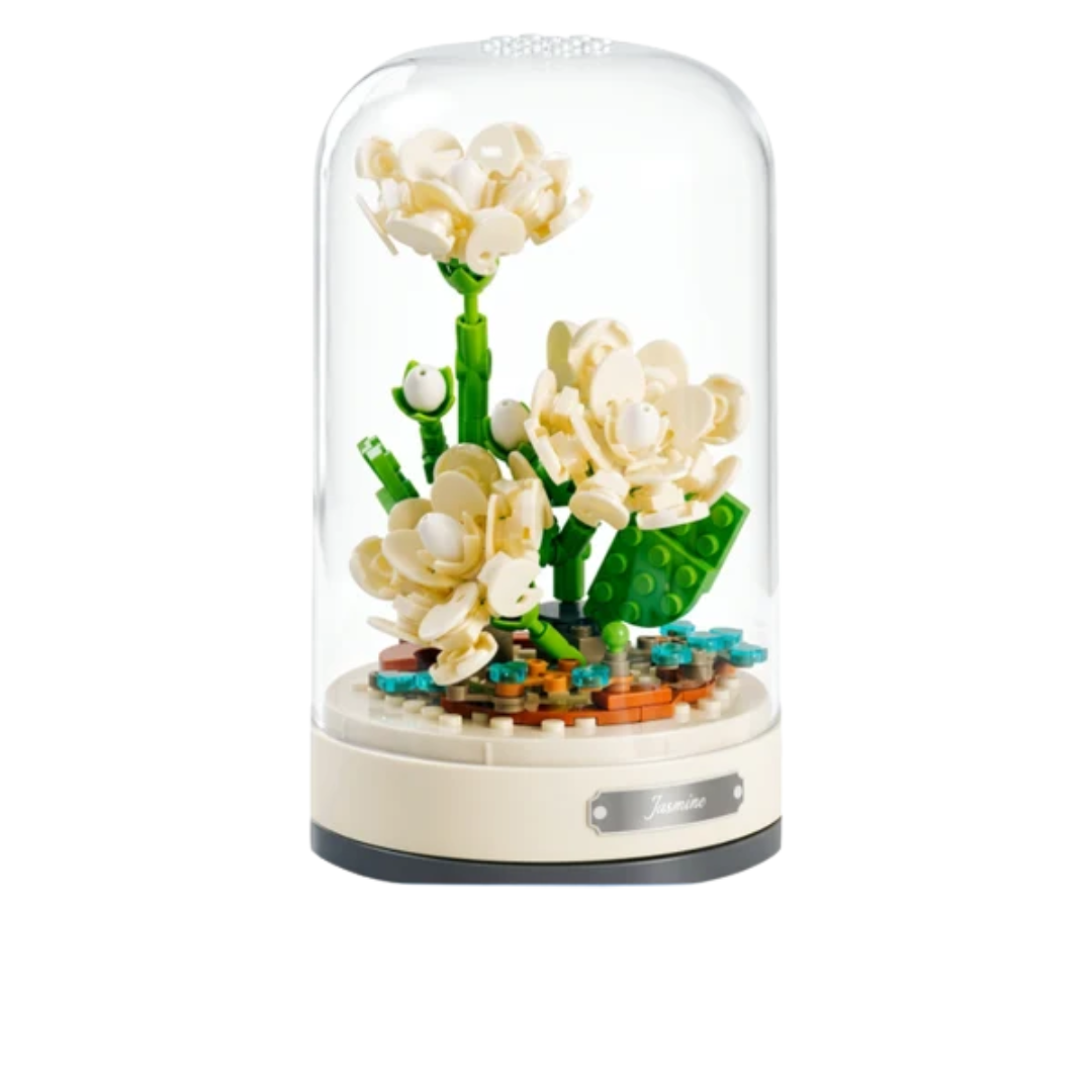 Flores de Jasmim Eternas | 317 PCS